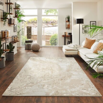 rug