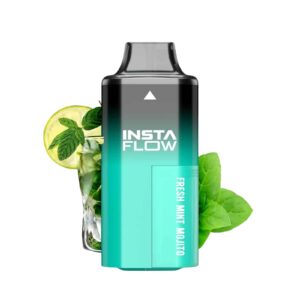 5000 Puffs Rechargeable Vape - Fresh Mint Mojito