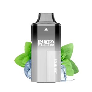 5000 Puffs Rechargeable Vape - Polar Mint